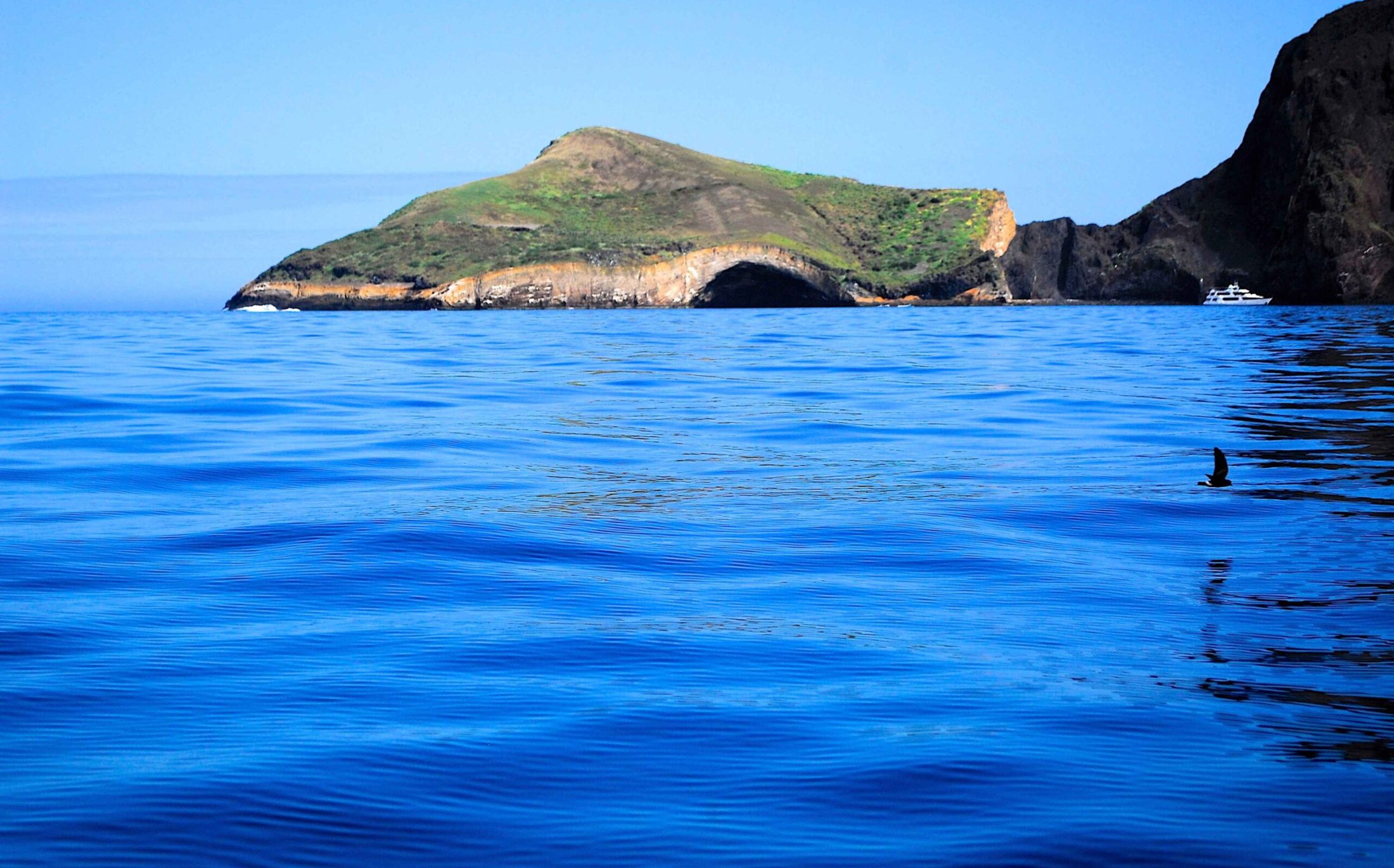 Isabela Punta Vicente Roca_11zon